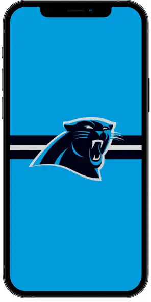 Play Carolina Panthers Wallpaper 4K as an online game Carolina Panthers Wallpaper 4K with UptoPlay