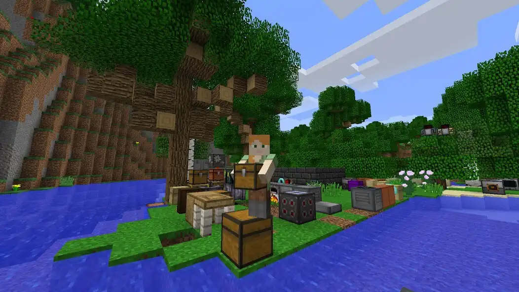 Play Carry On Minecraft Mod as an online game Carry On Minecraft Mod with UptoPlay