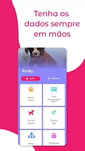 Play Carteira Pet as an online game Carteira Pet with UptoPlay