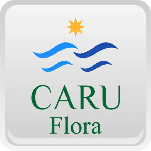 Play Caru Flora APK Play Caru Flora APK