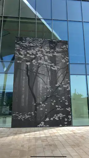 Play Cary AR Art Exhibition App  and enjoy Cary AR Art Exhibition App with UptoPlay