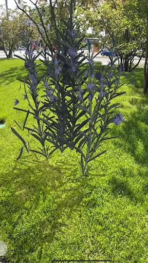 Play Cary AR Art Exhibition App as an online game Cary AR Art Exhibition App with UptoPlay