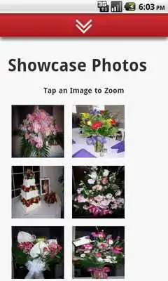 Play Carys Designs Floral