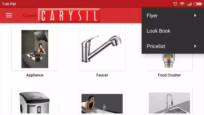 Play Carysil Services