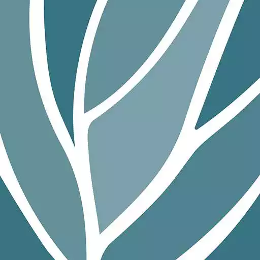 Free play online Cascade Manor APK