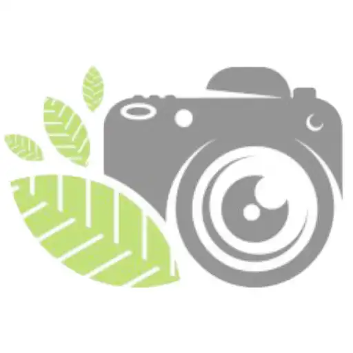 Play CashCam APK Play CashCam APK