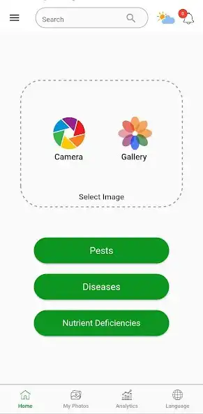 Play Cashew Protect  and enjoy Cashew Protect with UptoPlay