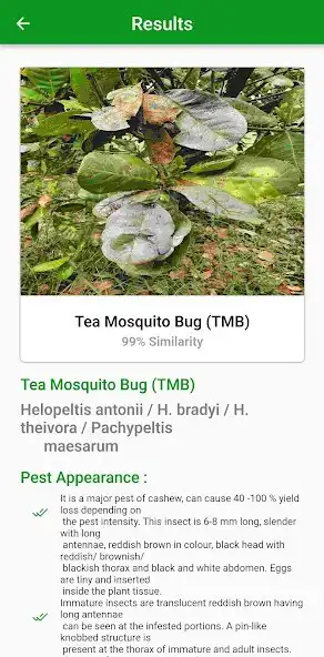 Play Cashew Protect as an online game Cashew Protect with UptoPlay