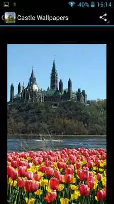 Play Castle Wallpapers