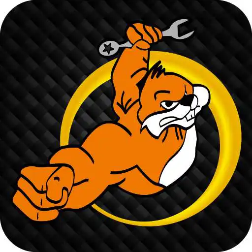 Run free android online Castor Air Ride APK