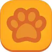 Free play online Cat Age Calculator APK Free play online Cat Age Calculator APK