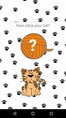 Play Cat Age Calculator