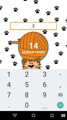 Play Cat Age Calculator