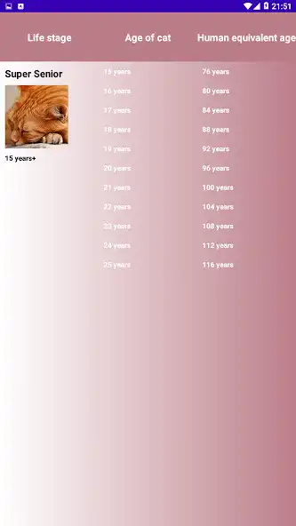Play CatAge - Cat Years To Human Years (Table, Chart) as an online game CatAge - Cat Years To Human Years (Table, Chart) with UptoPlay