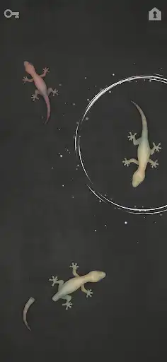 Play CAT ALONE - Cat Toy as an online game CAT ALONE - Cat Toy with UptoPlay