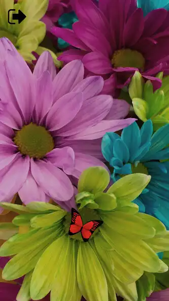 Play Cat Alone Toy - Games for Cats and enjoy Cat Alone Toy - Games for Cats with UptoPlay Play Cat Alone Toy - Games for Cats and enjoy Cat Alone Toy - Games for Cats with UptoPlay