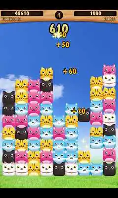 Play Cat A Lot