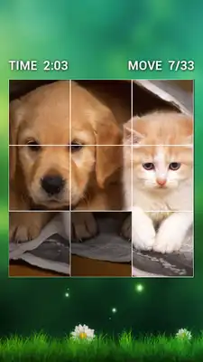 Play Cat and Dog Swap Puzzle