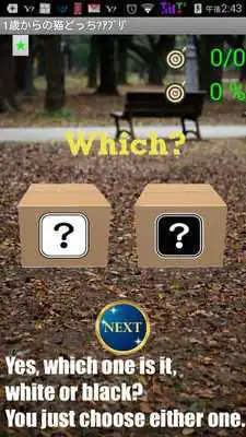 Play Cat App from One Year-Olds 1 Play Cat App from One Year-Olds 1