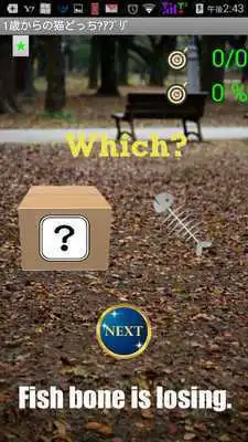 Play Cat App from One Year-Olds 1 Play Cat App from One Year-Olds 1