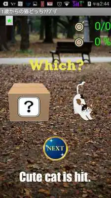 Play Cat App from One Year-Olds 1 Play Cat App from One Year-Olds 1