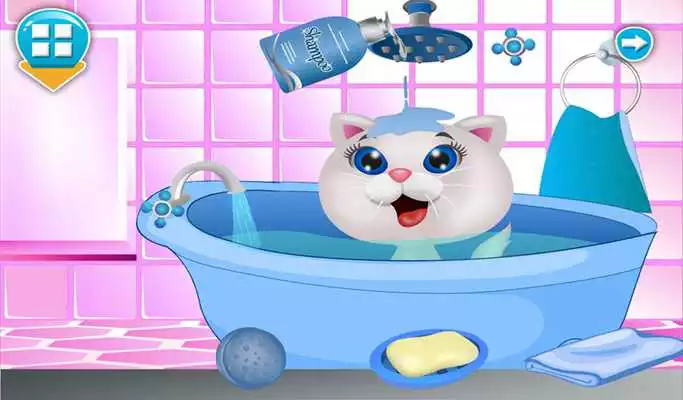 Play Cat Beauty Salon