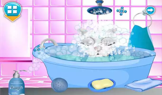Play Cat Beauty Salon
