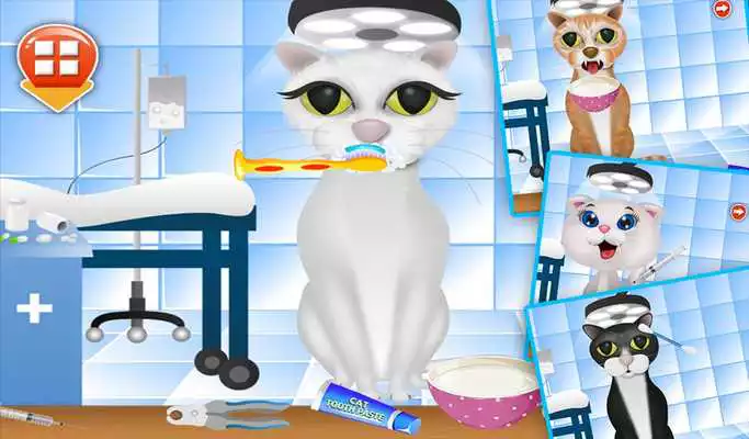 Play Cat Beauty Salon