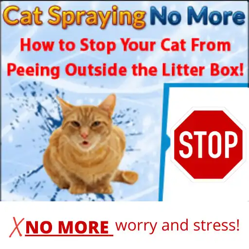 Play Cat Behavior Problems And How to Solve Them APK Play Cat Behavior Problems And How to Solve Them APK