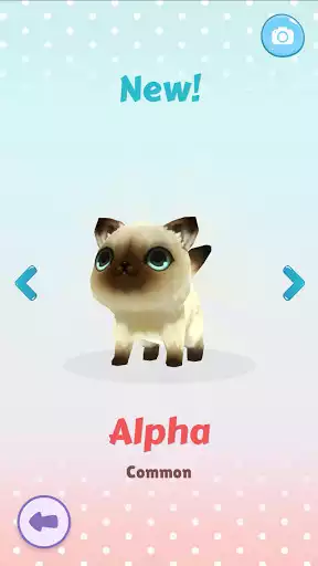 Play Catbox  and enjoy Catbox with UptoPlay