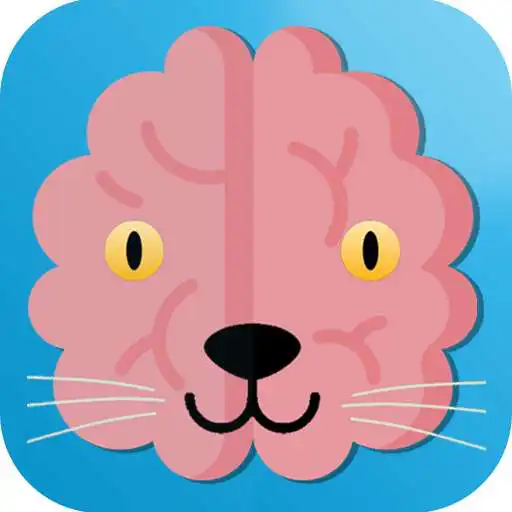 Play Cat Brain : Challenge Game APK