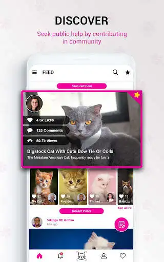 Play APK Cat Breed Identifier : Kitten Cat, Pet Cat Scanner and enjoy Cat Breed Identifier : Kitten Cat, Pet Cat Scanner using Play APK Cat Breed Identifier : Kitten Cat, Pet Cat Scanner and enjoy Cat Breed Identifier : Kitten Cat, Pet Cat Scanner using