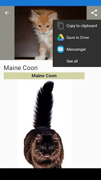 Play Cat breeds - Photos  and enjoy Cat breeds - Photos with UptoPlay