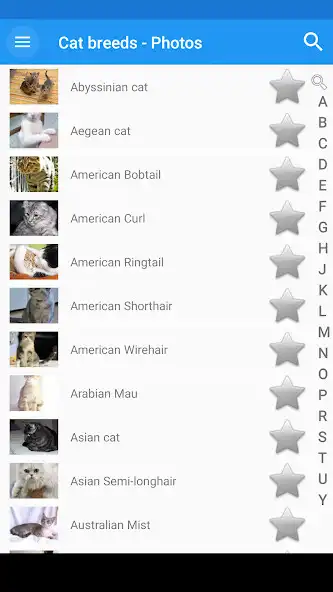 Play Cat breeds - Photos as an online game Cat breeds - Photos with UptoPlay
