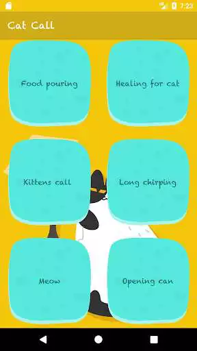 Play Cat Call - Noises and Sounds to Train Your Cat Play Cat Call - Noises and Sounds to Train Your Cat