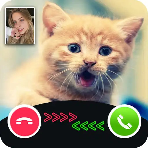Play cat call you - fake video call APK Play cat call you - fake video call APK