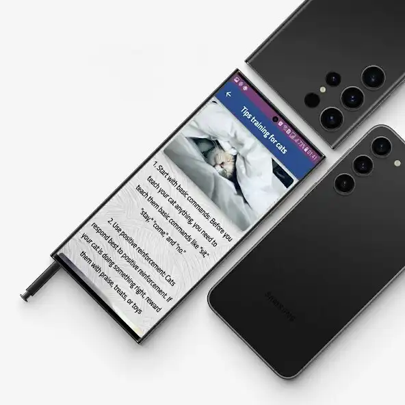 Play Cat Care App and enjoy Cat Care App with UptoPlay Play Cat Care App and enjoy Cat Care App with UptoPlay