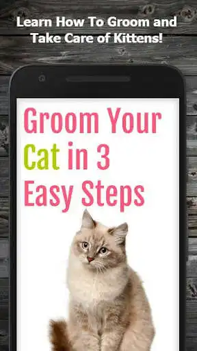 Play Cat Care & Grooming Guide  and enjoy Cat Care & Grooming Guide with UptoPlay