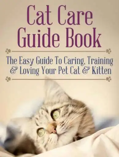 Play Cat Care Guide_Cat Health Tips as an online game Cat Care Guide_Cat Health Tips with UptoPlay