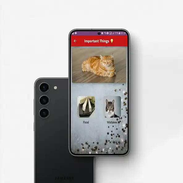 Play Cat Care Near Me and enjoy Cat Care Near Me with UptoPlay Play Cat Care Near Me and enjoy Cat Care Near Me with UptoPlay