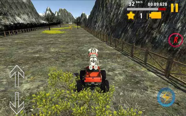 Play Cat Car Rally 3D!