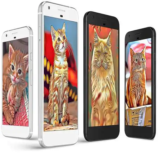 Play Cat Cartoon Wallpaper APK Play Cat Cartoon Wallpaper APK