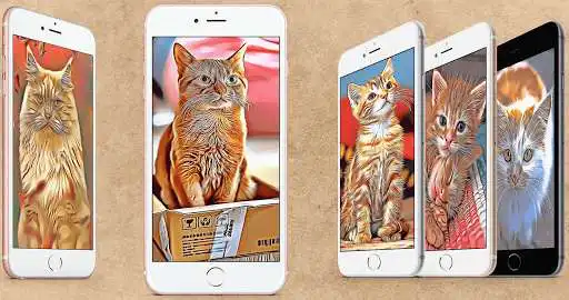 Play Cat Cartoon Wallpaper  and enjoy Cat Cartoon Wallpaper with UptoPlay