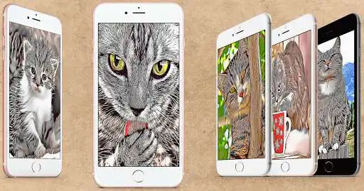 Play Cat Cartoon Wallpaper as an online game Cat Cartoon Wallpaper with UptoPlay