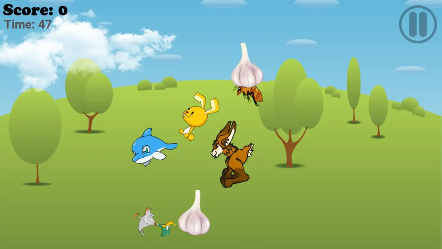 Play Catch Animal (Mammals)