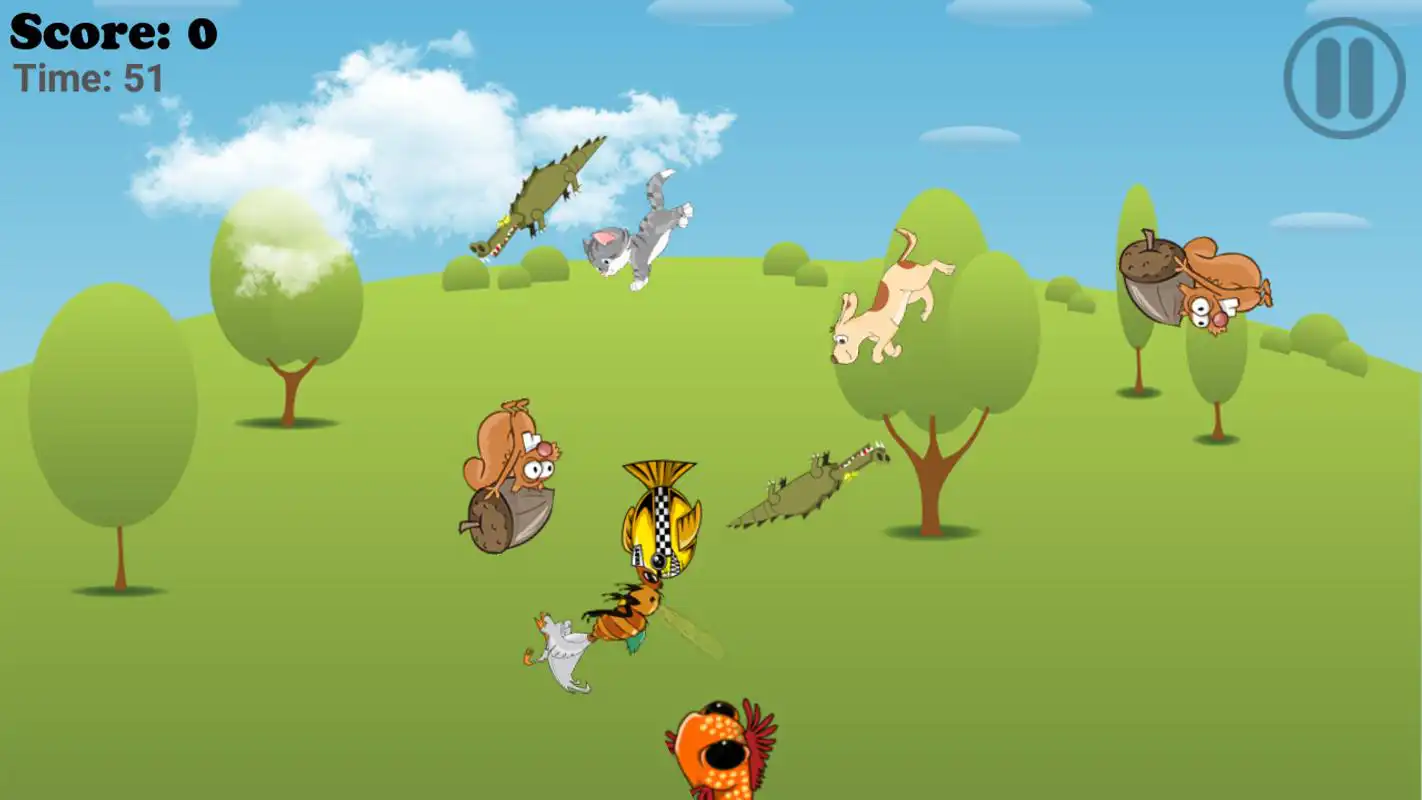 Play Catch Animal (Mammals)