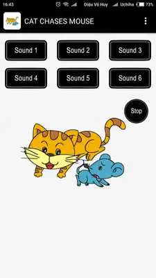Play Cat chases mouse