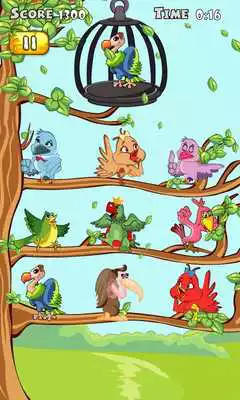 Play Catch Birds as an online game Catch Birds with UptoPlay