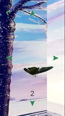 Play Catch Butterfly