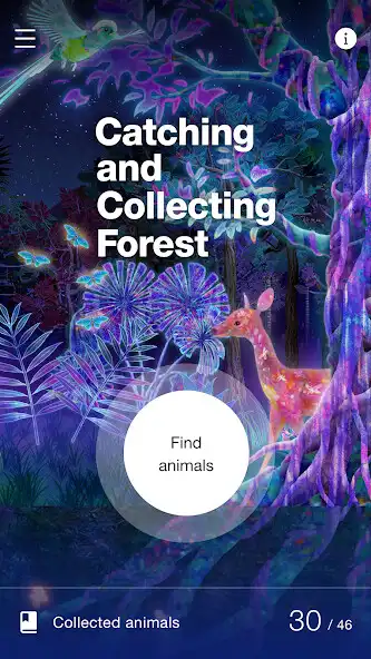 Play Catching and Collecting Forest  and enjoy Catching and Collecting Forest with UptoPlay